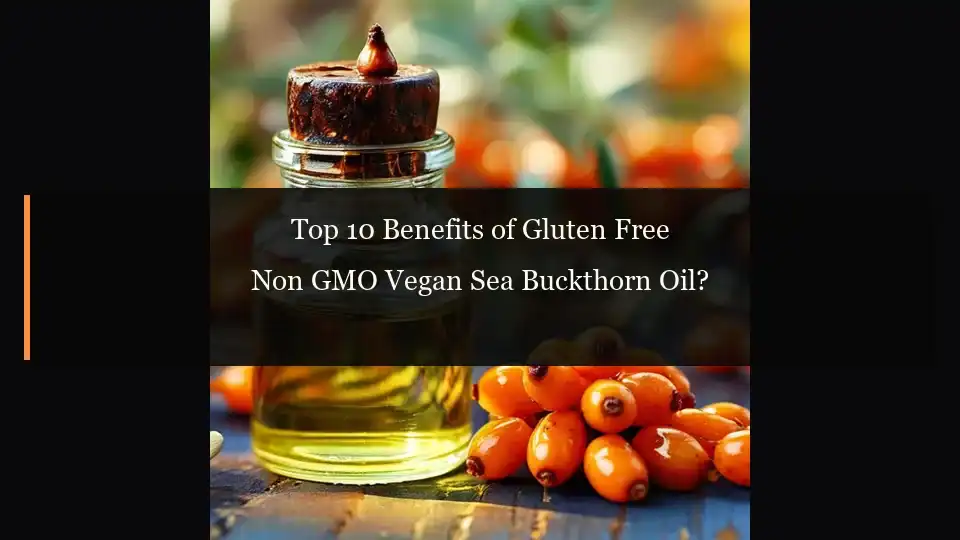 Top 10 Benefits of Gluten Free Non GMO Vegan Sea Buckthorn Oil?